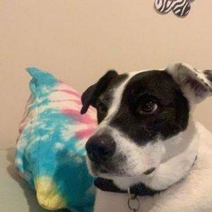 Meet your Posher, Chloe